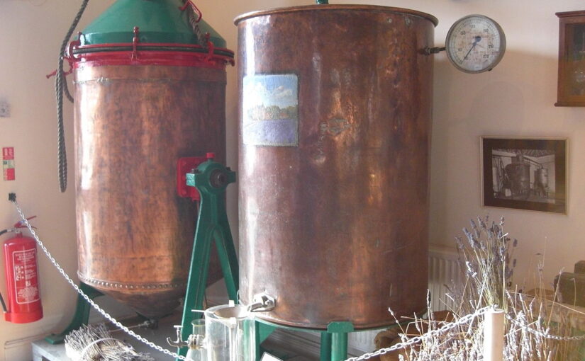 Essential Oil Production: Methods, Processes, and Quality Considerations