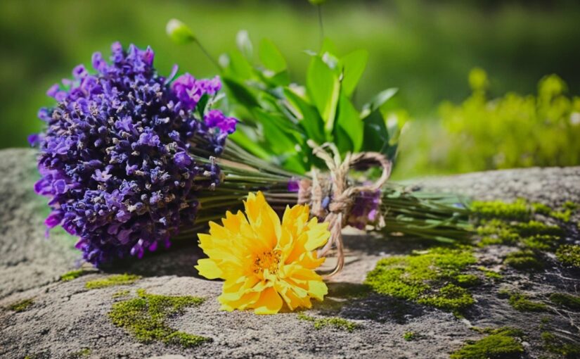 Hydrosols: Nature’s Gentle Aromatic Waters