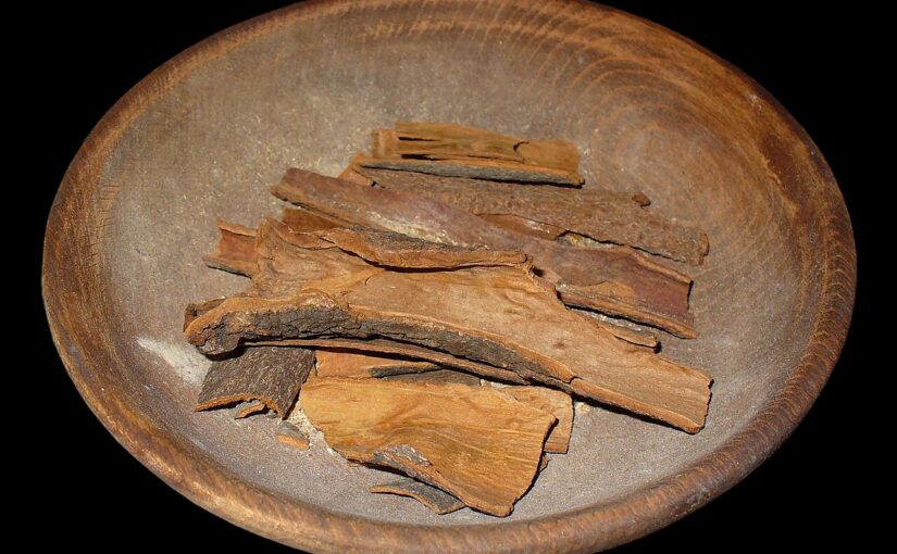 Cassia Essential Oil: The Warm Spice of Courage